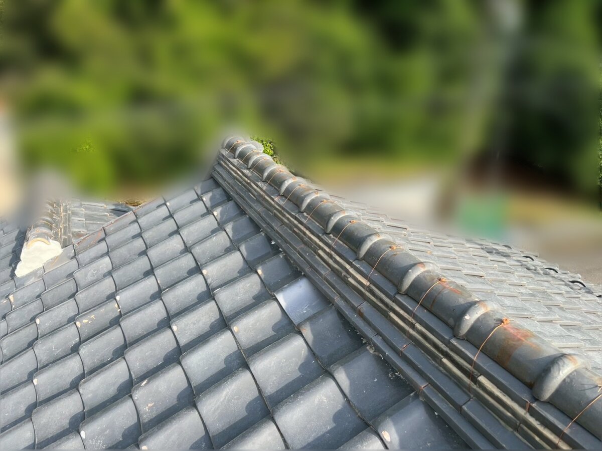 完成写真