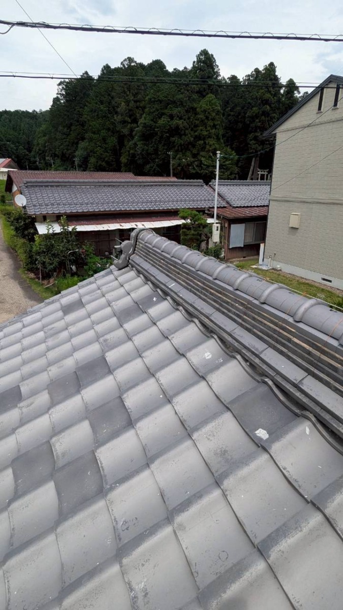 完成写真