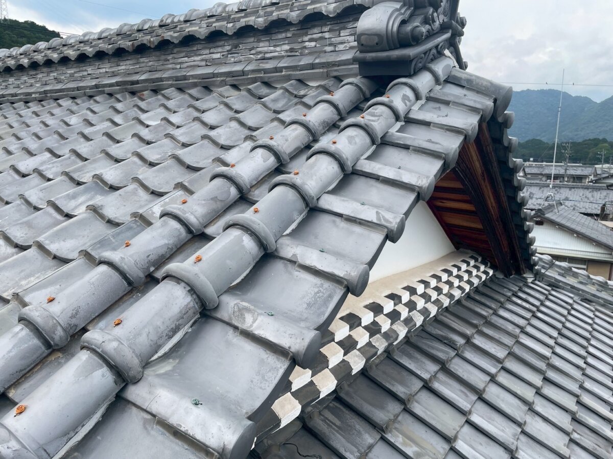 完成写真
