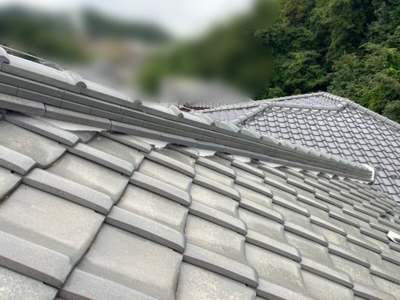 完成写真