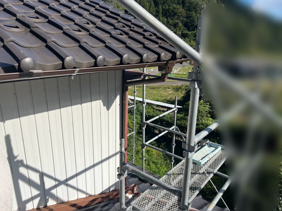 完成写真