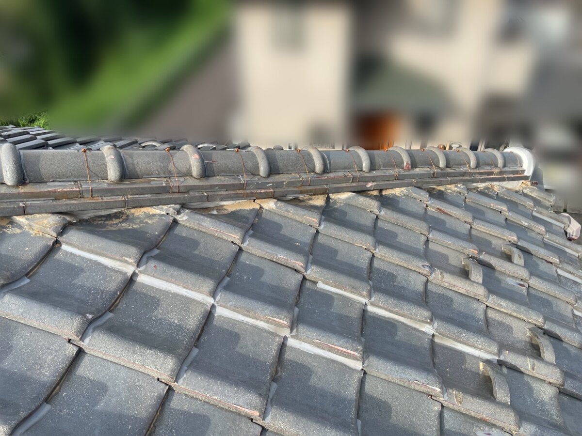 完成写真